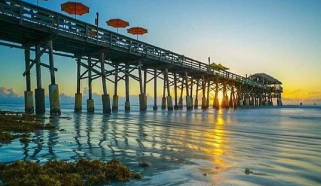 Surfer's Dream: Pet Friendly Near World Famous Cocoa Beach Pier