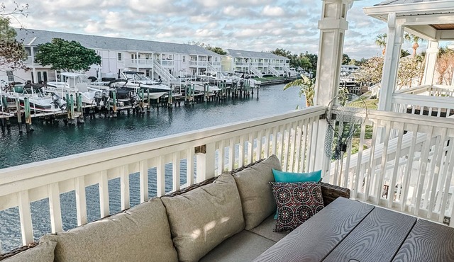 Thaw out your toes and watch the dolphins play at Winterfarm Southeast!