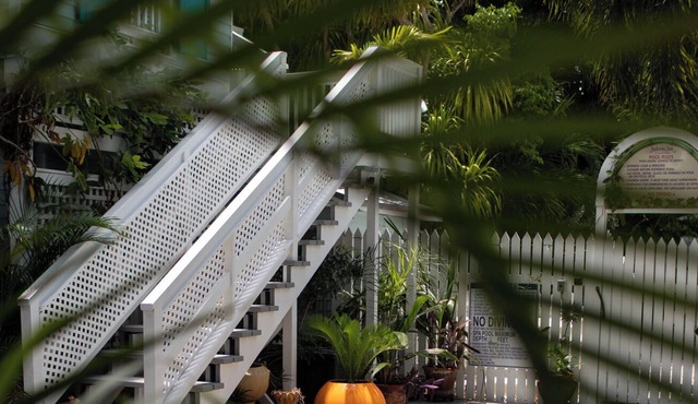 Tropical hidden gem behind Hemingway's House.