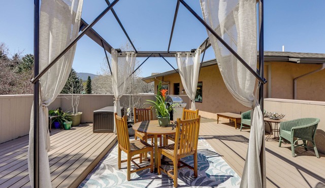 Walkable Apt in Carbondale: 'Luxury Artist's Loft'