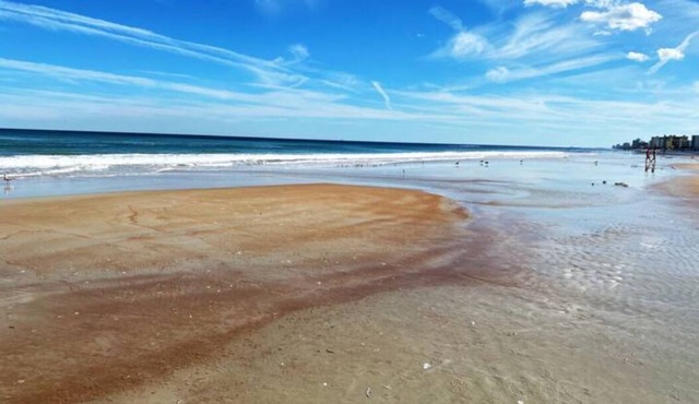 World's Famous ✦ Daytona Beach Home!❣