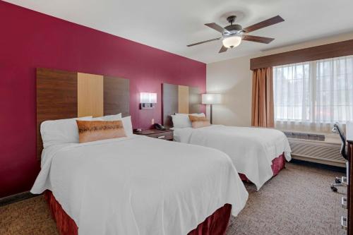 Pineywoods Inn 