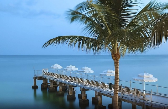 Welcome to Paradise! Discover the History and Soul of Key West! Nightlife!