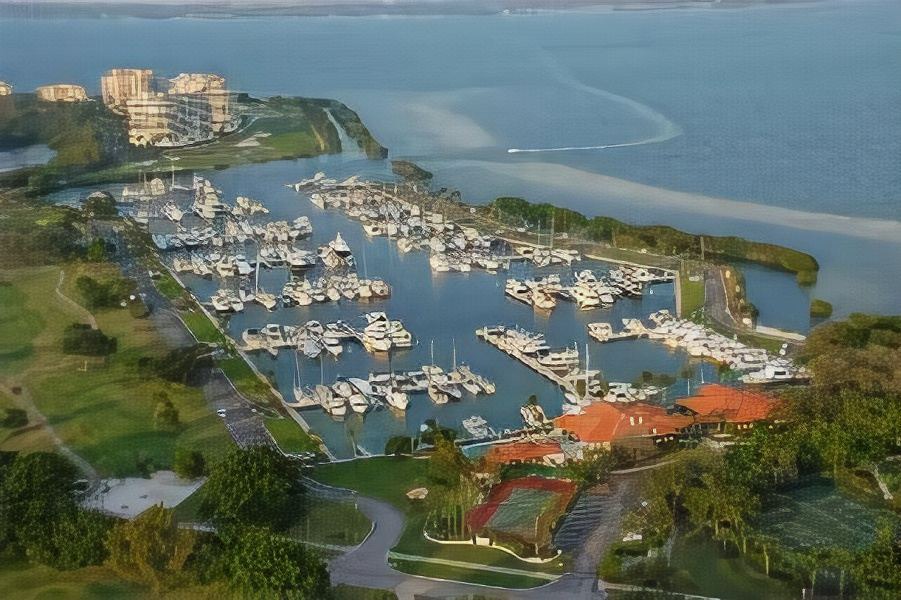 Photo of Others in Sarasota