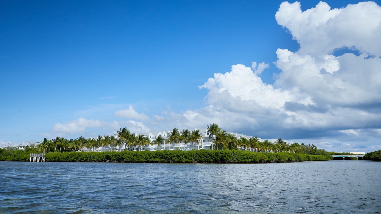 Photo of Outdoor in Key West