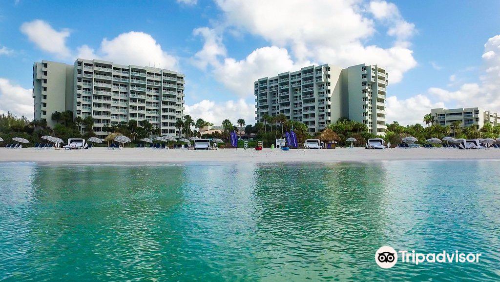Photo of Outdoor in Sarasota