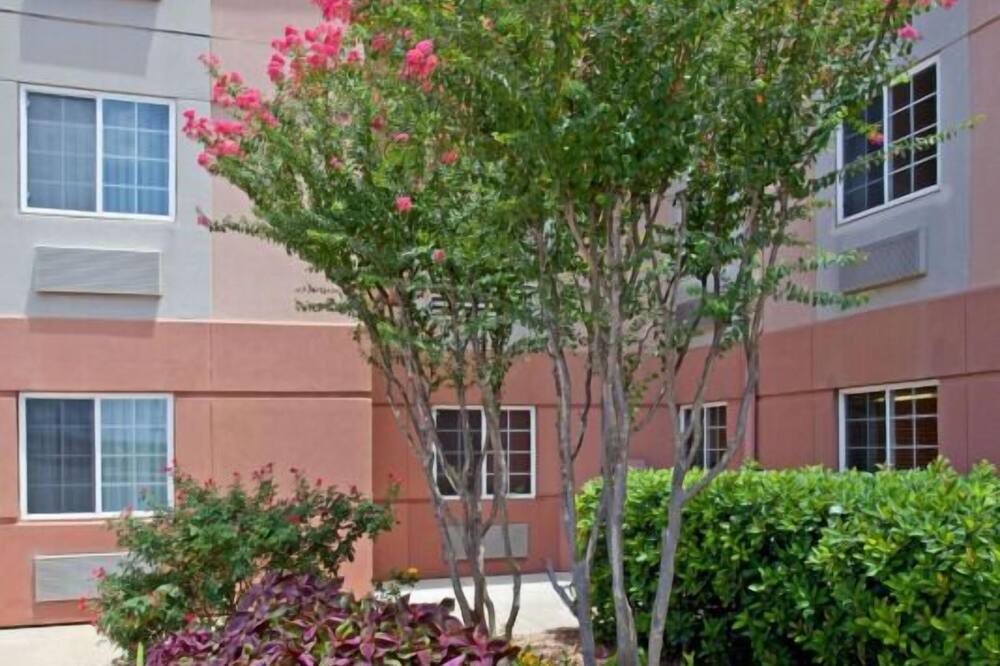 Photo of Others in Westchase