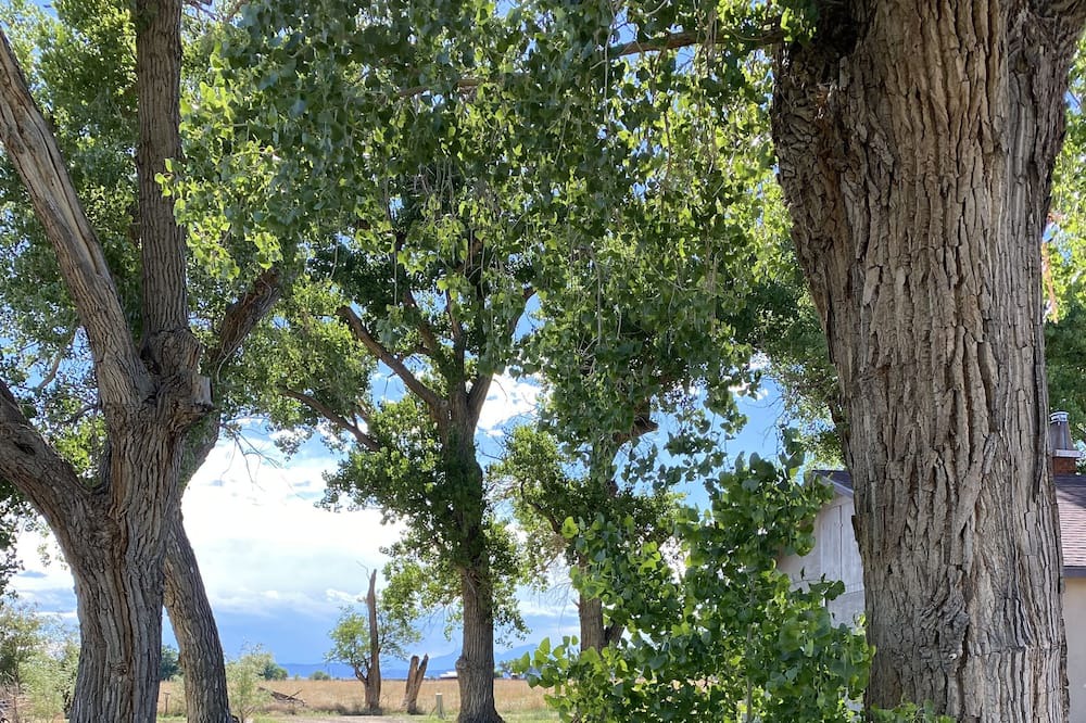 Photo of Outdoor in Hoehne