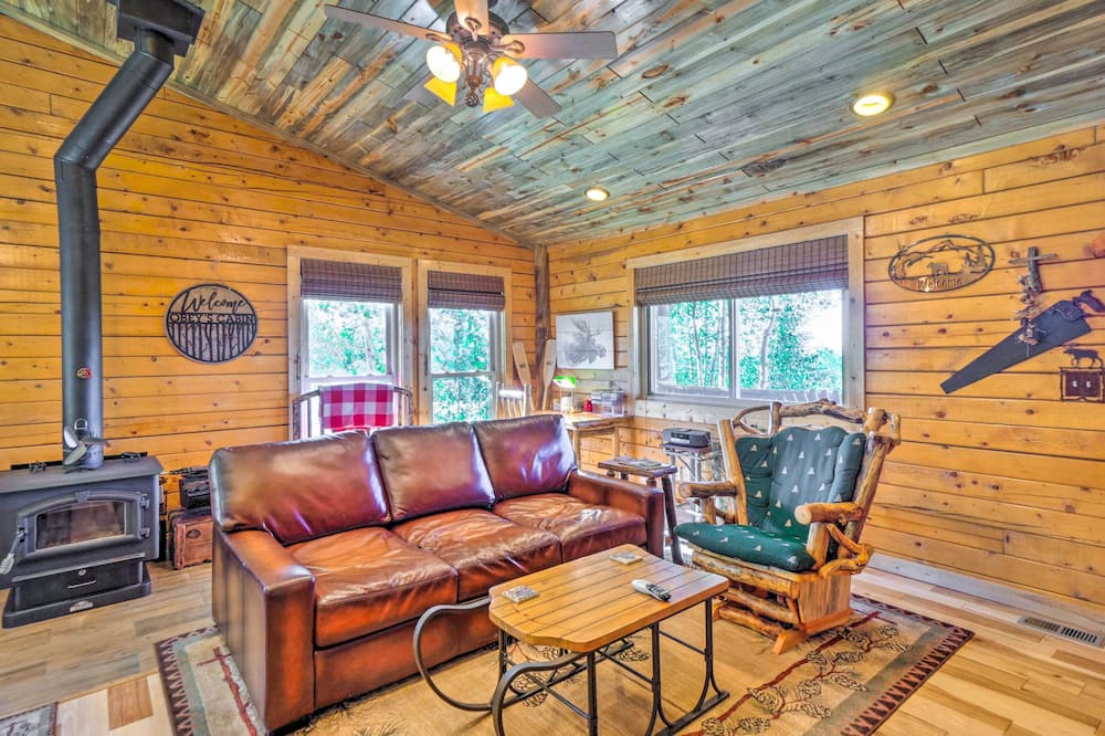 Photo of Livingroom in Indian Mountain