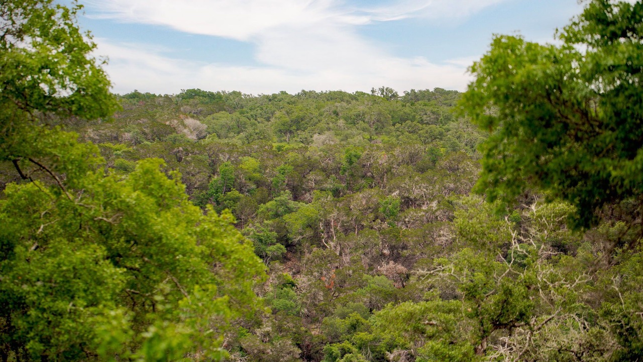 Photo of Others in New Braunfels