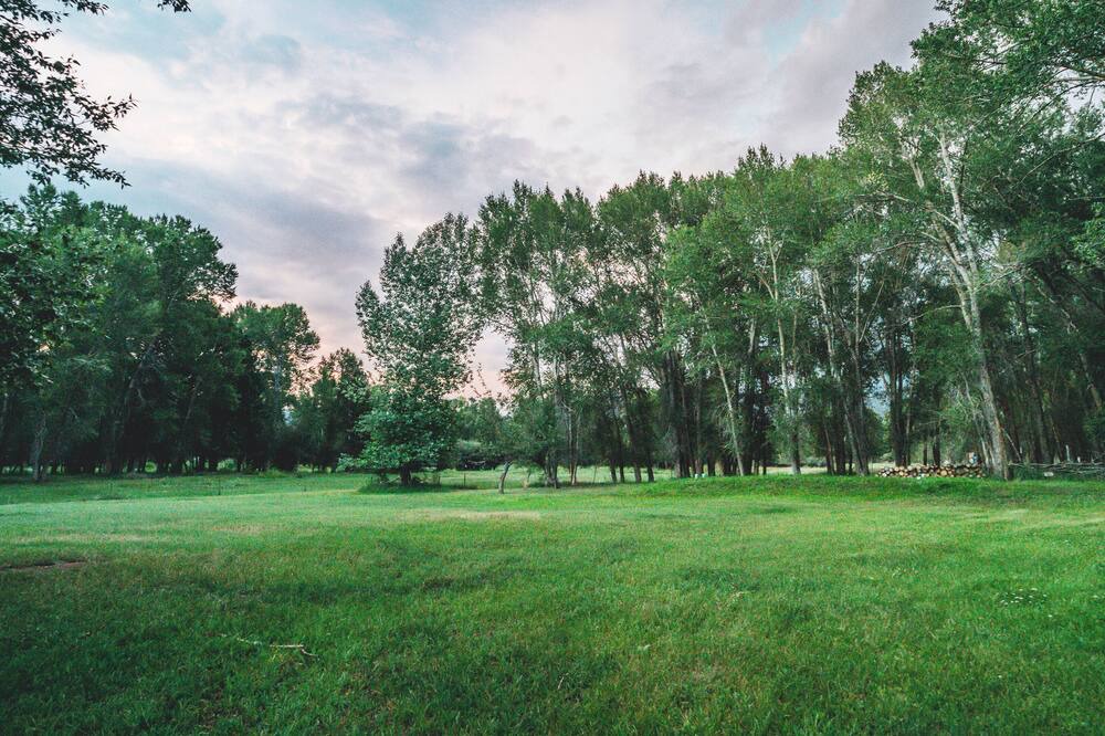 Photo of Outdoor in Buena Vista