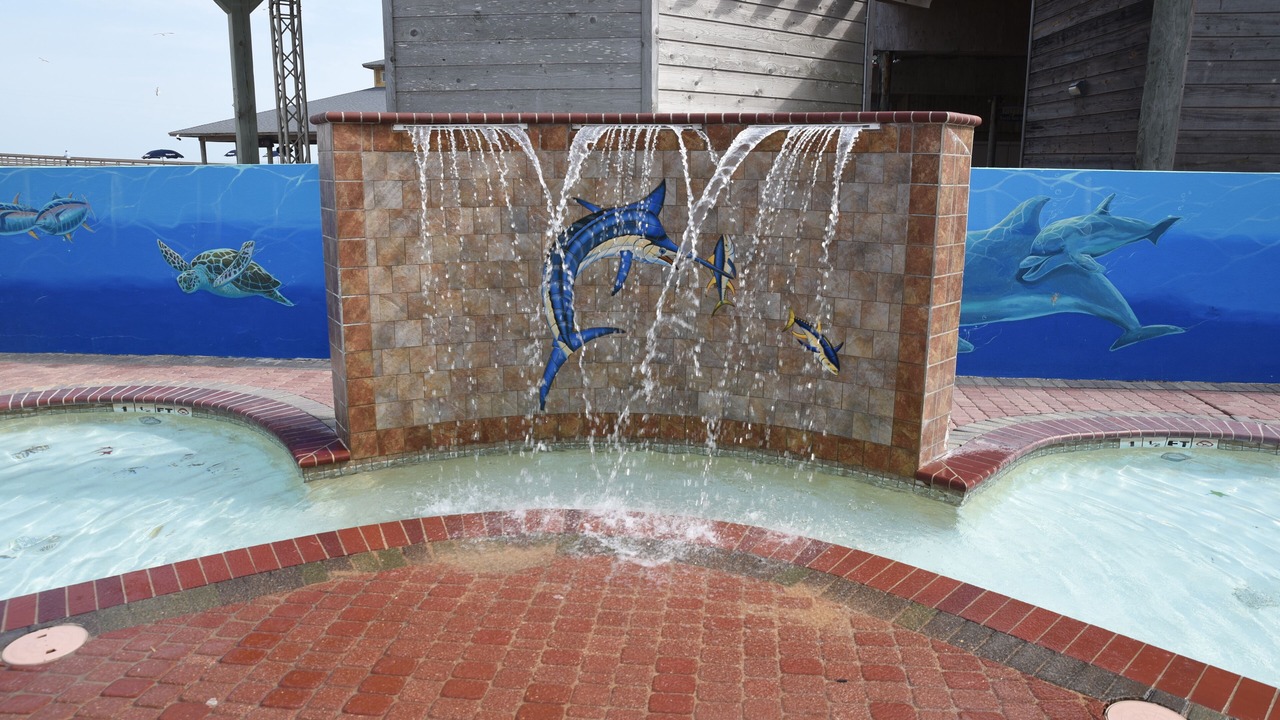 Photo of Outdoor in South Padre Island