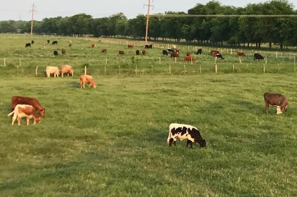 Photo of Others in Hondo