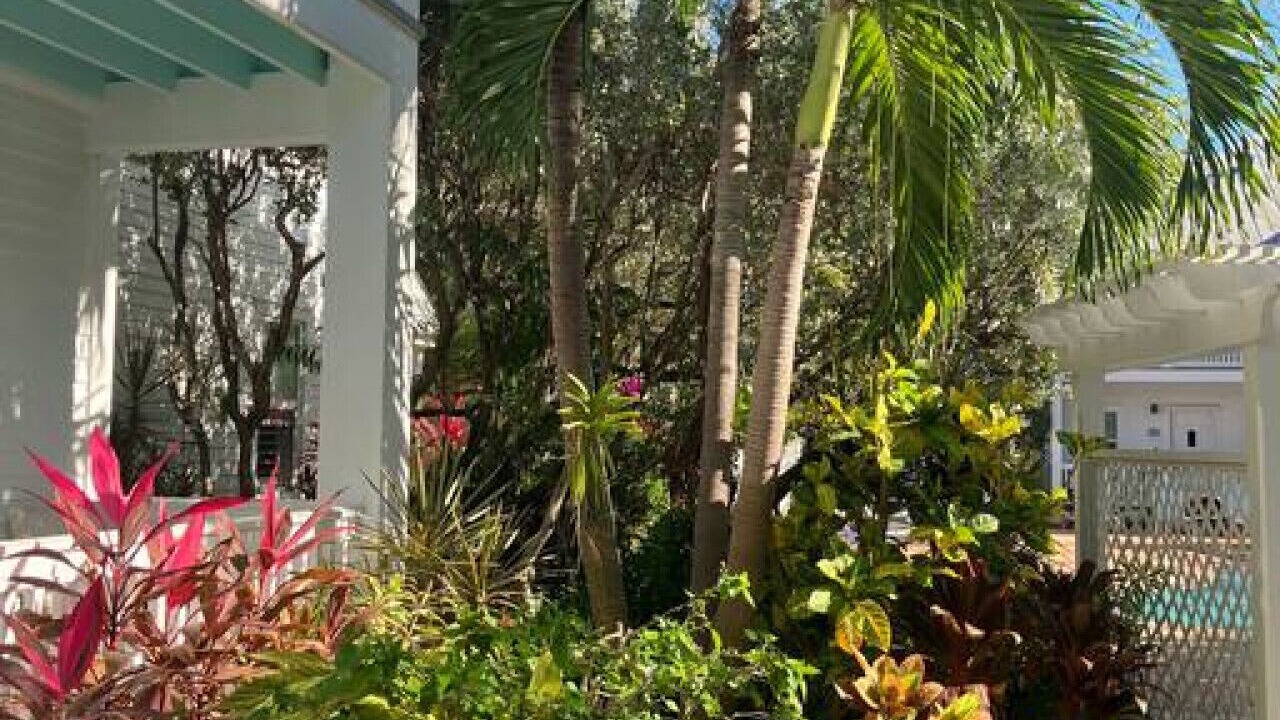 Photo of Outdoor in Bahama Village