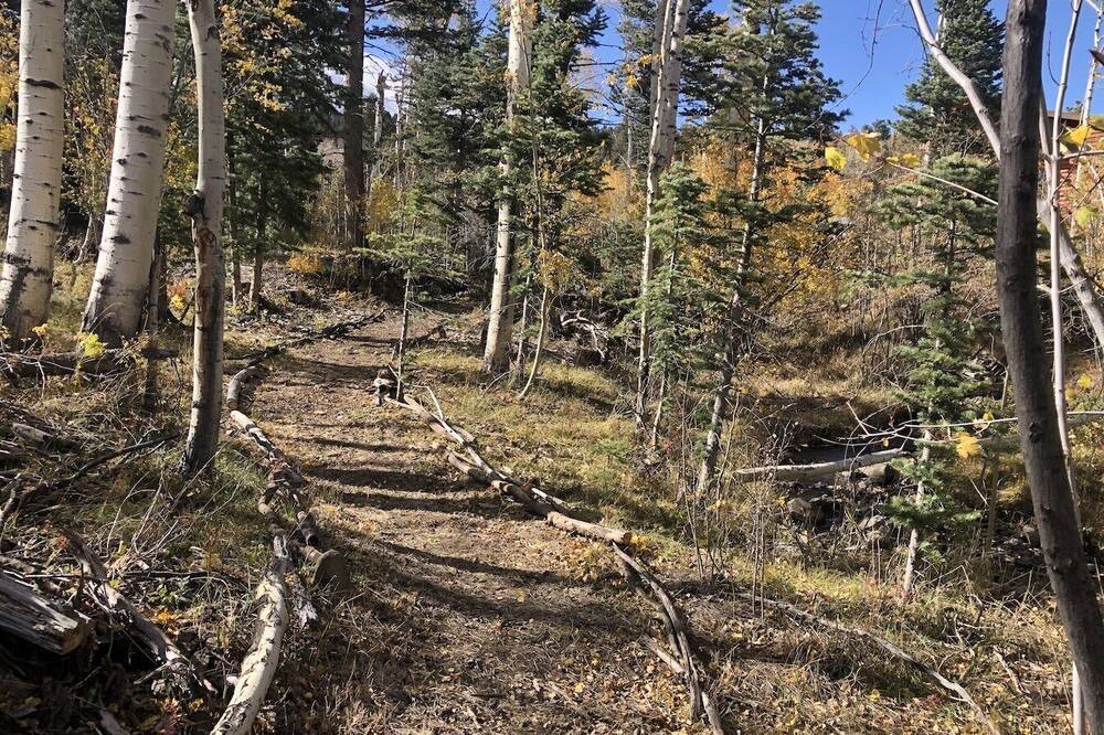 Photo of Others in Westcliffe