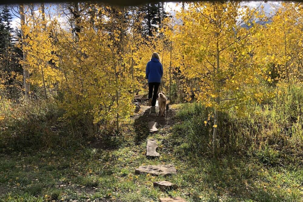 Photo of Others in Westcliffe