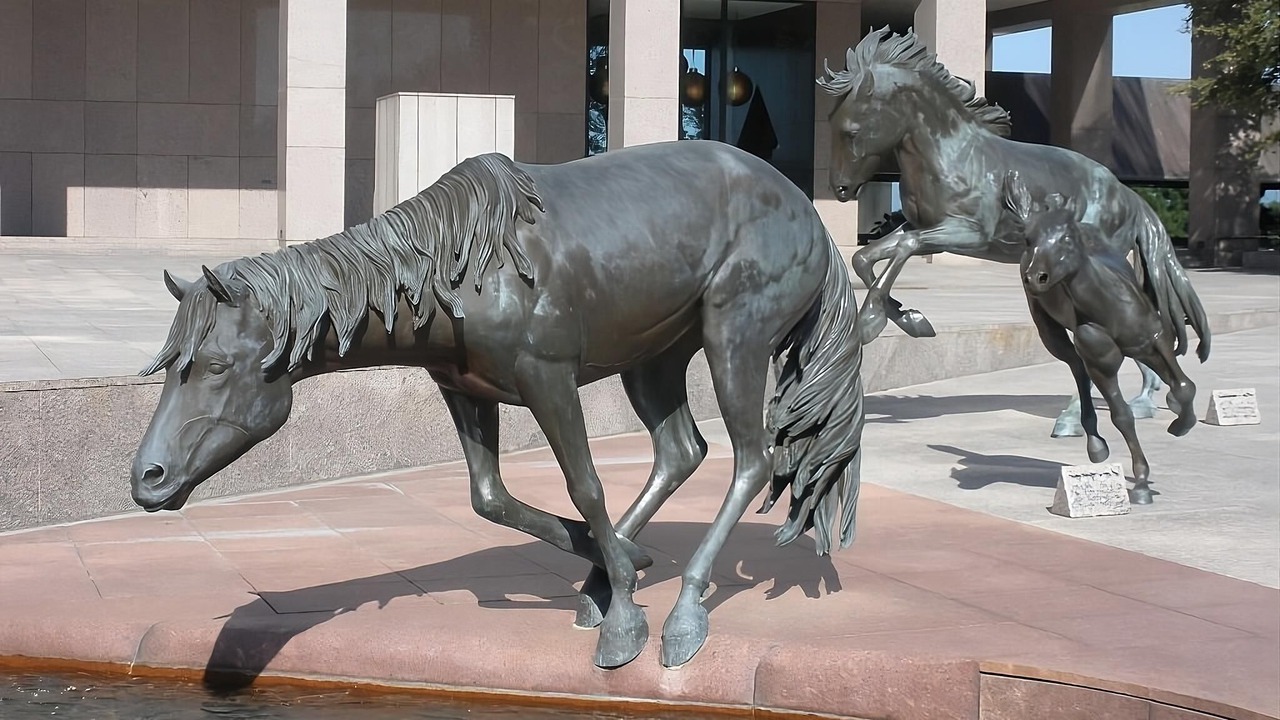 Photo of Outdoor in Las Colinas