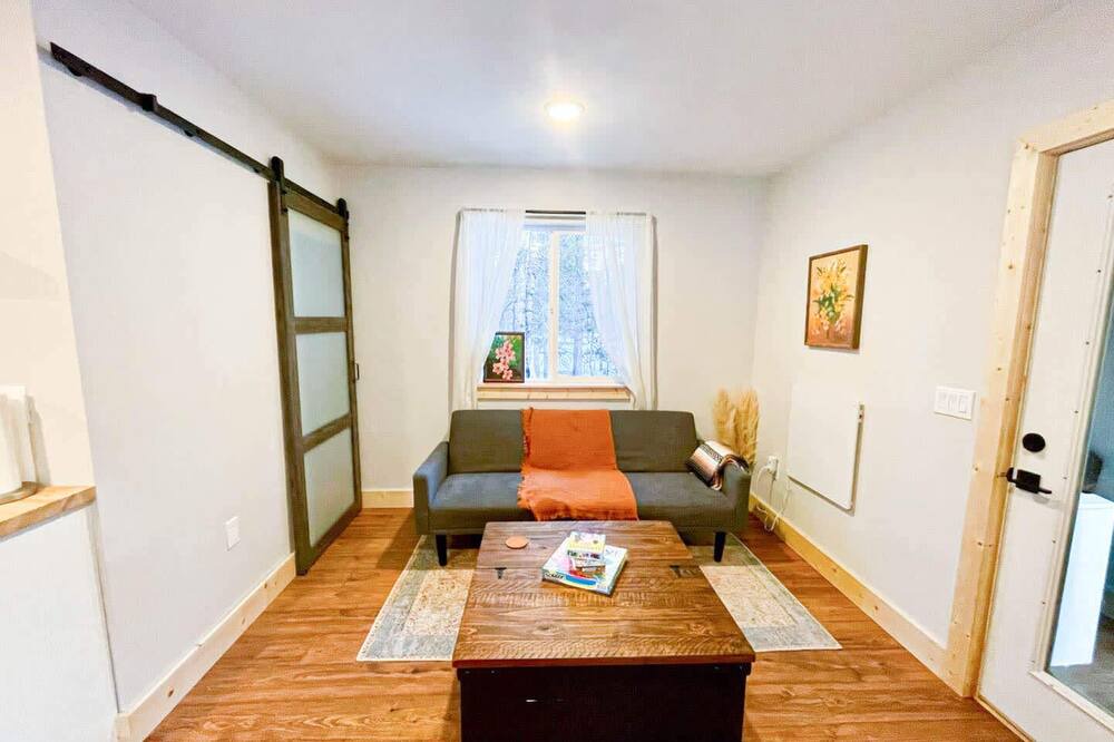 Photo of Livingroom in Leadville