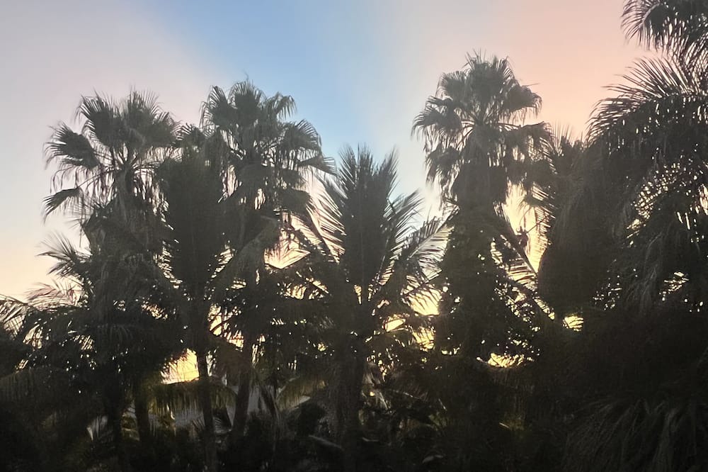 Photo of Outdoor in New Melbourne Beach