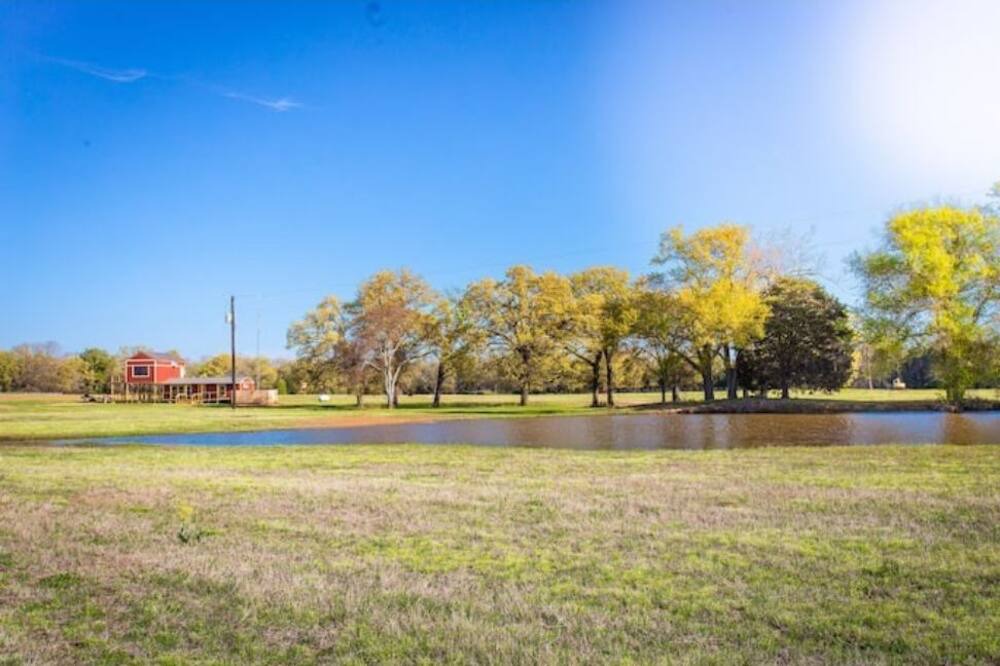 Photo of Others in Wills Point