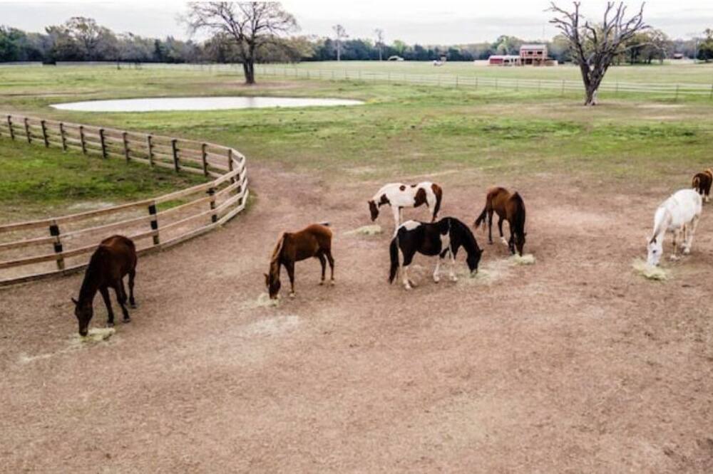 Photo of Outdoor in Wills Point