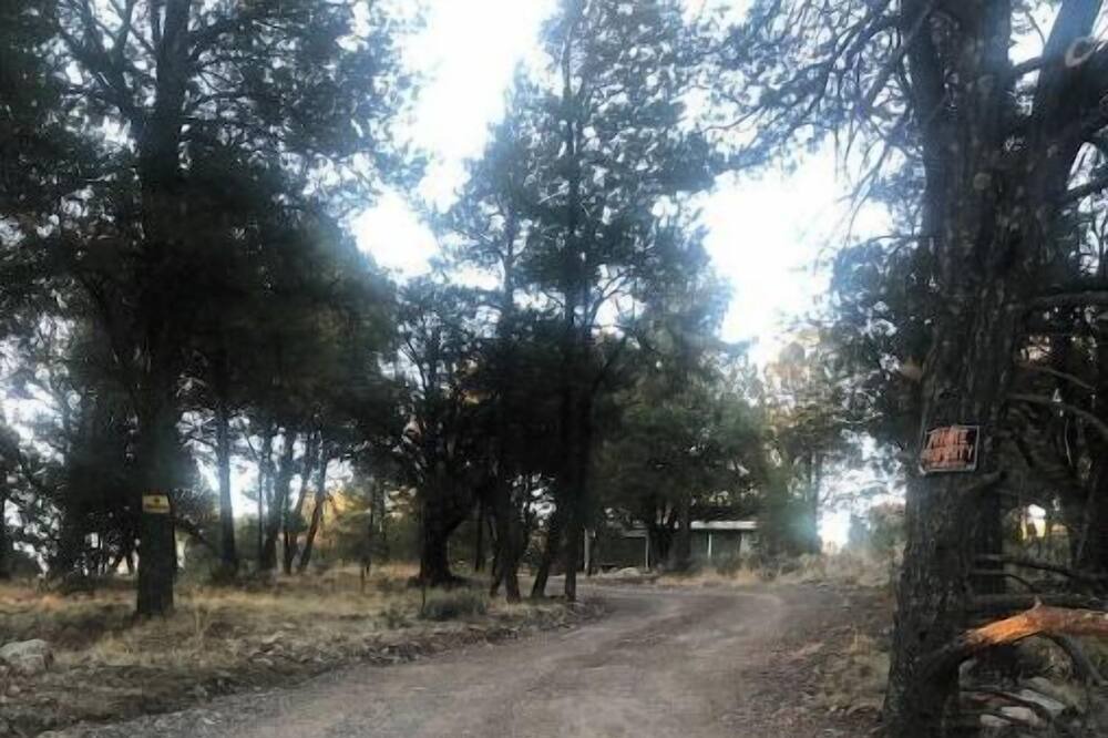 Photo of Outdoor in Tyrone