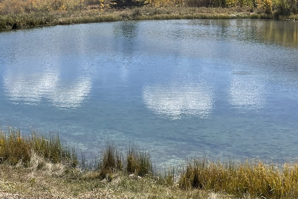 Photo of Outdoor in Warm Springs