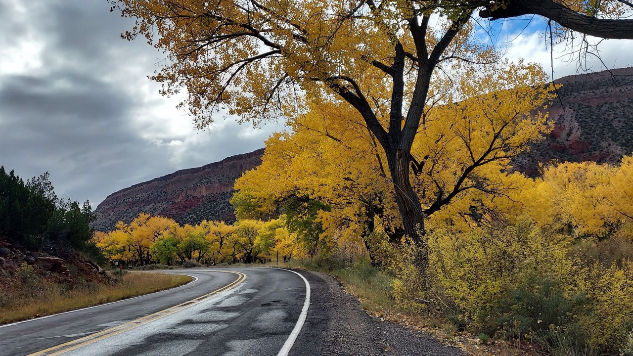 Photo of Others in Jemez Springs