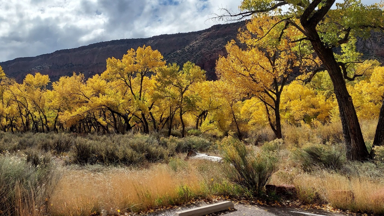 Photo of Others in Jemez Springs