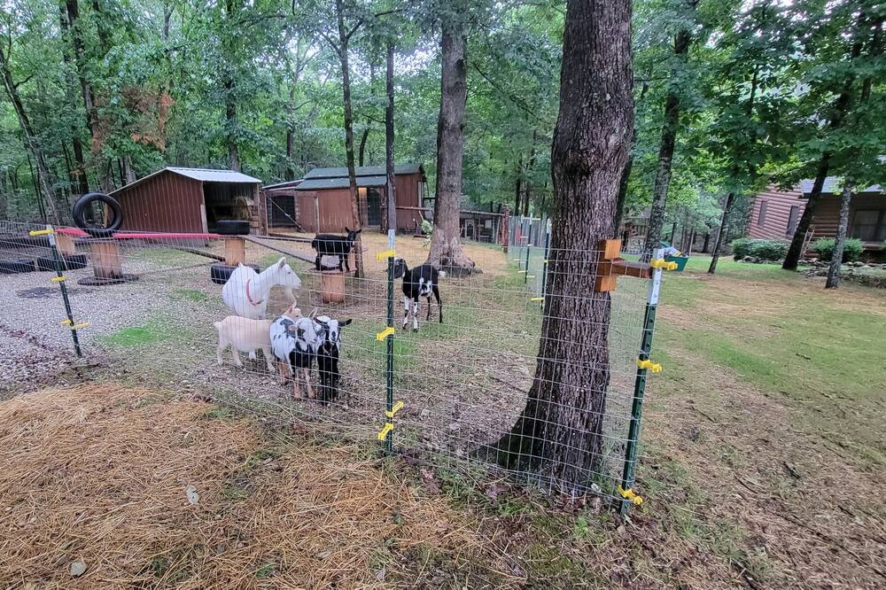 Photo of Outdoor in Branson