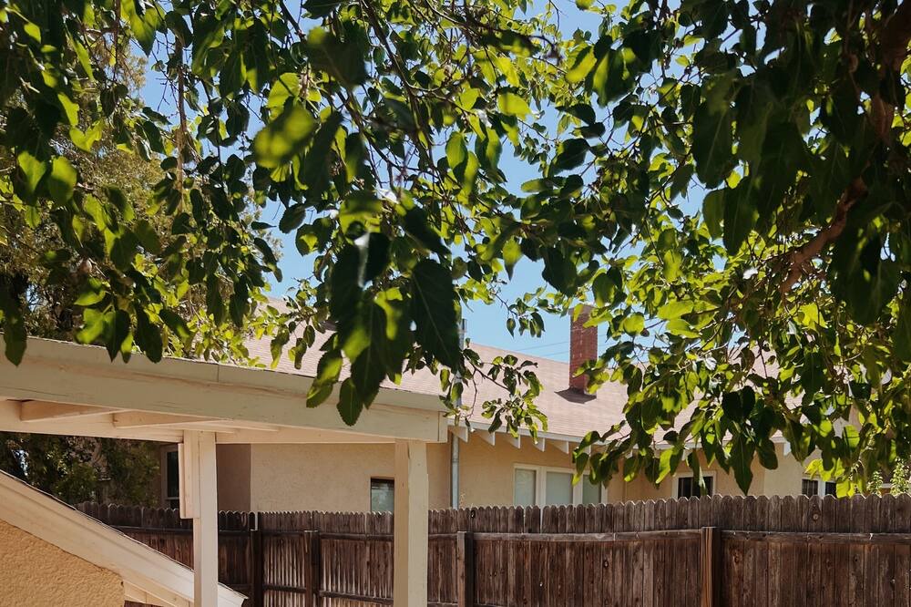 Photo of Outdoor in Mesilla Park
