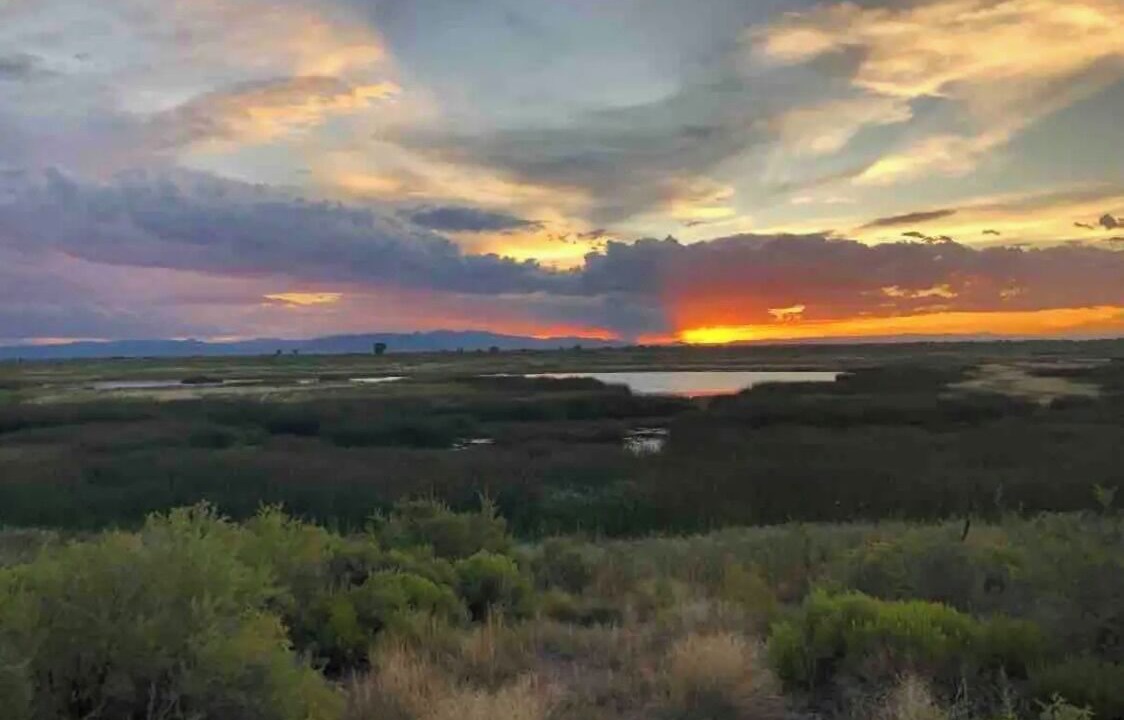 Photo of Outdoor in Blanca