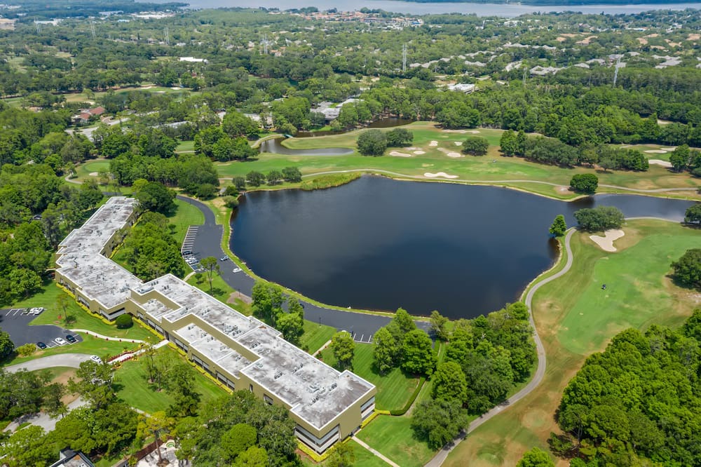 Photo of Outdoor in Palm Harbor