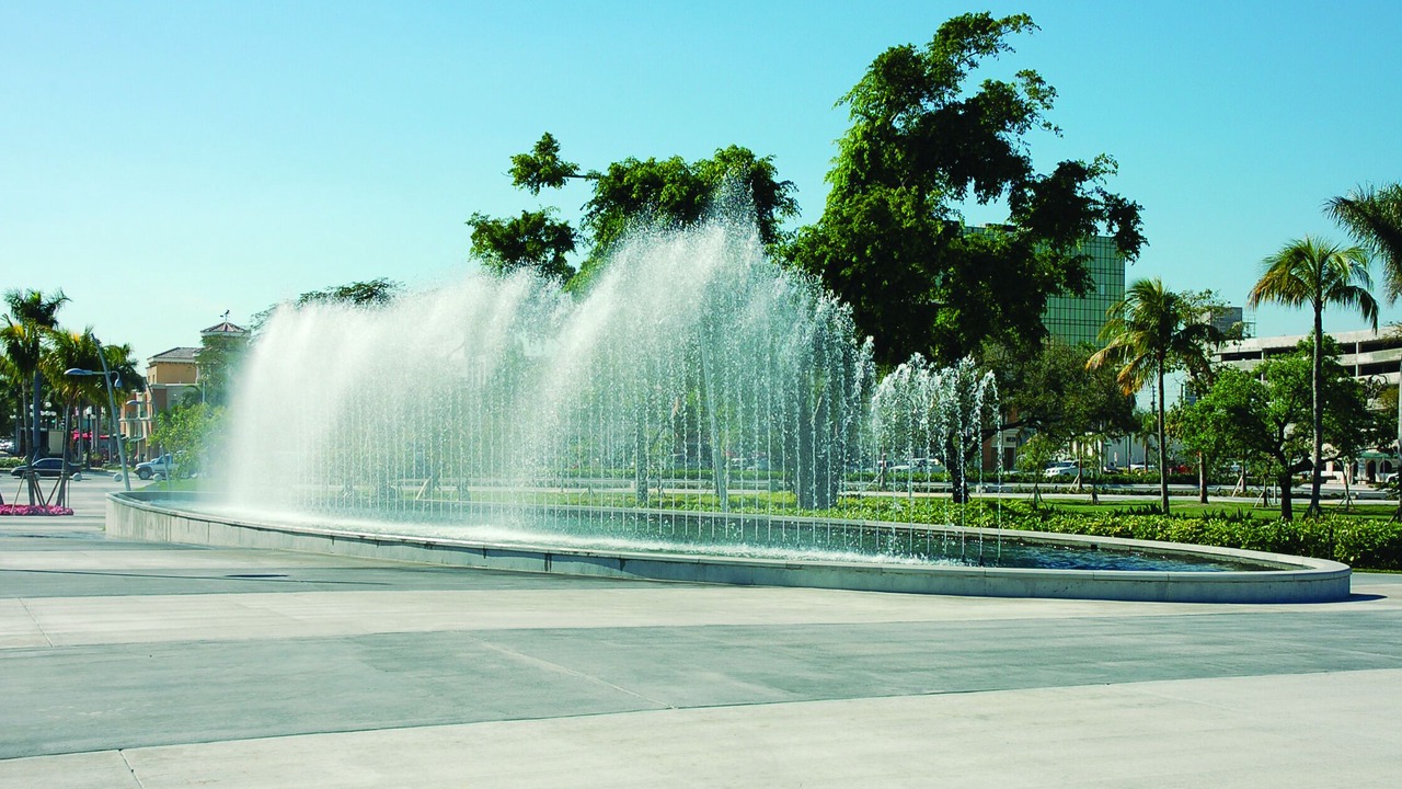 Photo of Others in Hollywood Lakes