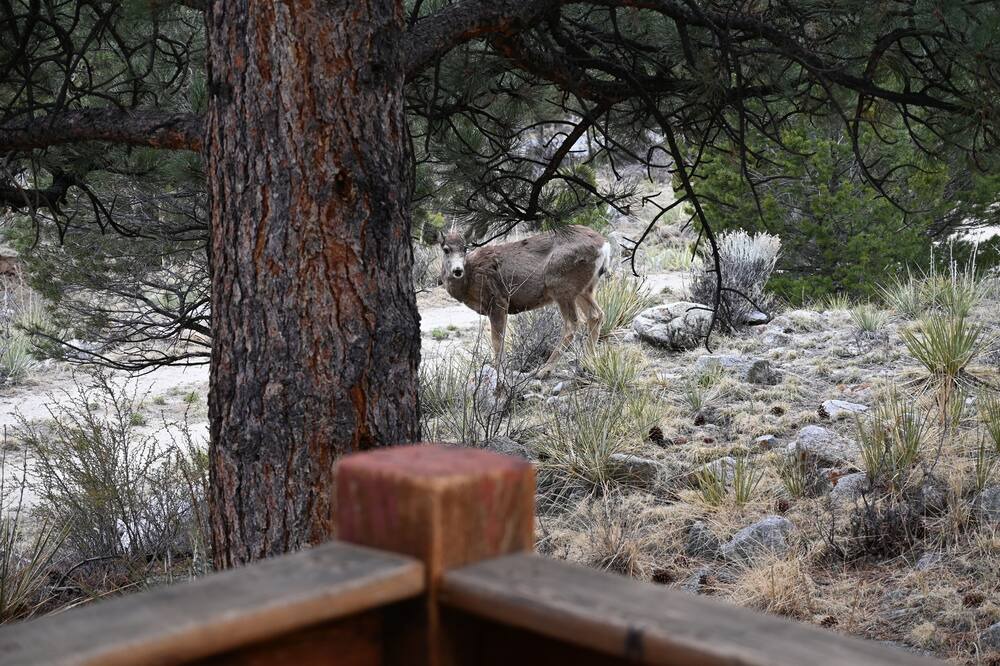 Photo of Outdoor in Nathrop