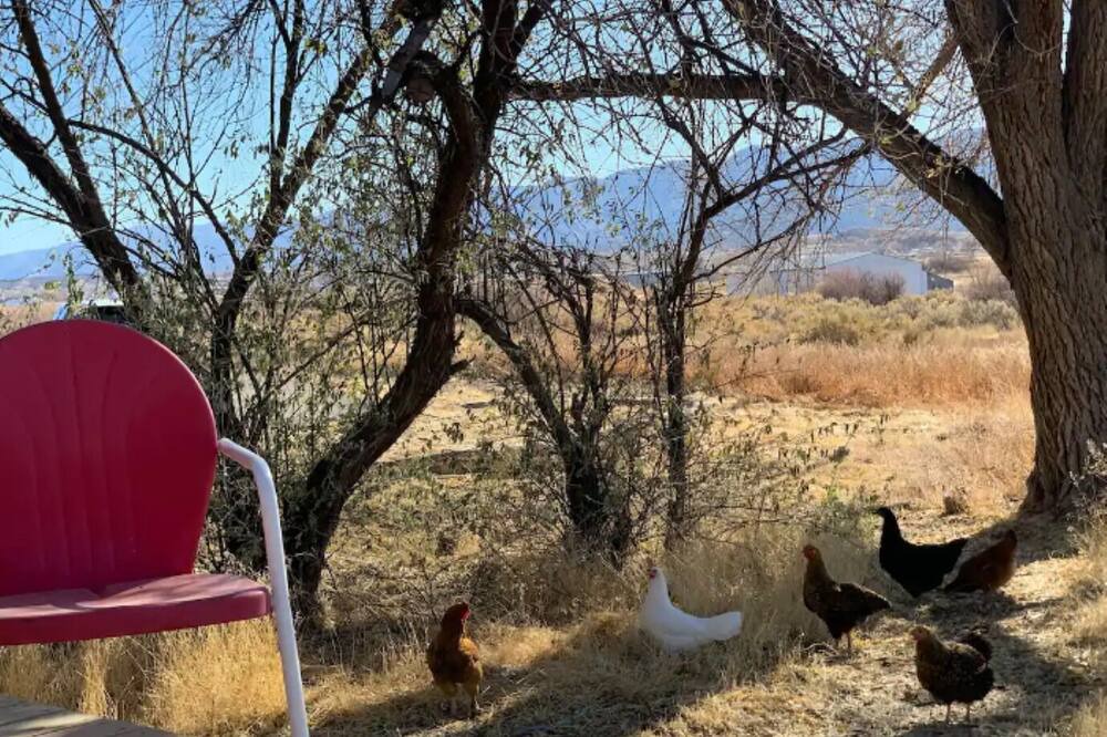 Photo of Outdoor in Cortez