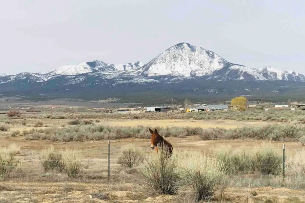 Photo of Others in Cortez