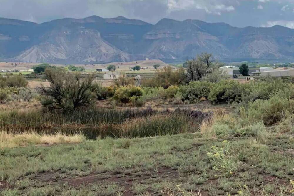 Photo of Others in Cortez