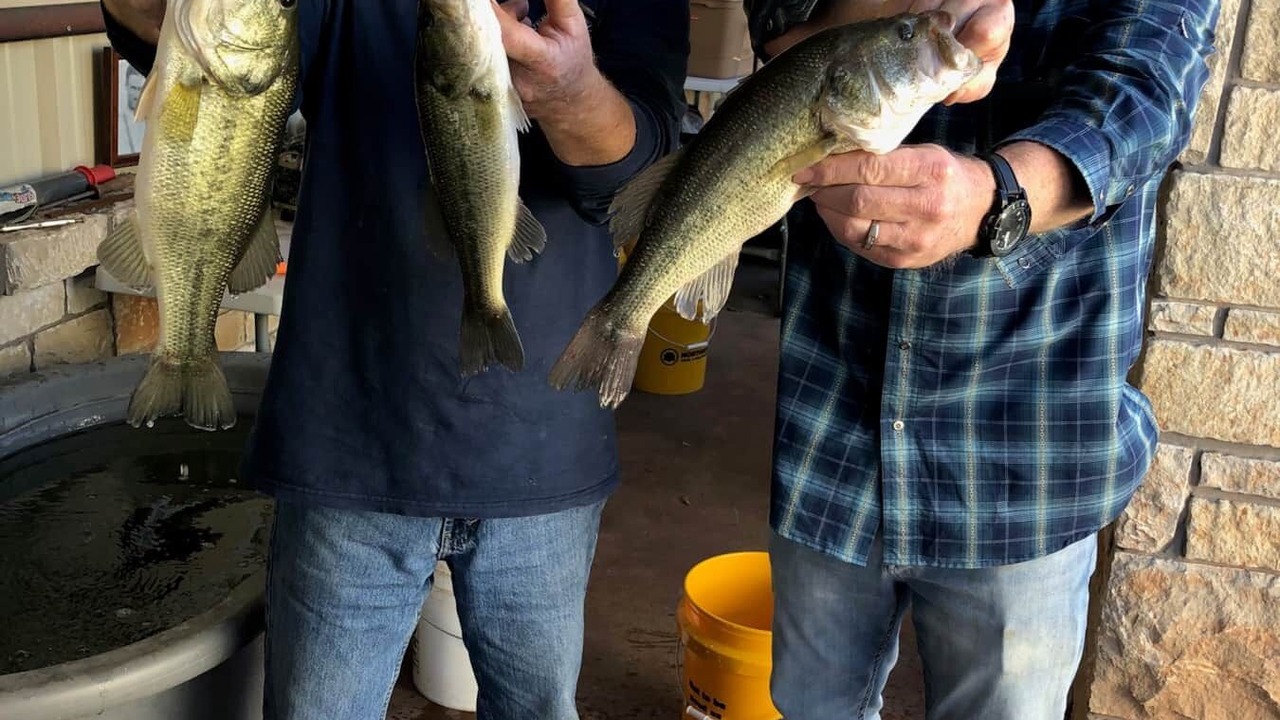 Photo of Others in Graham