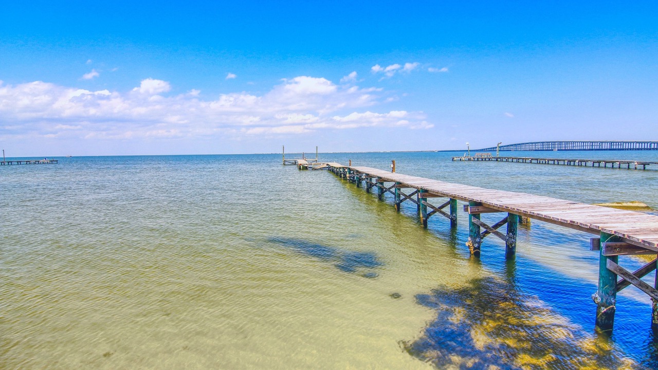 Photo of Others in Rockport
