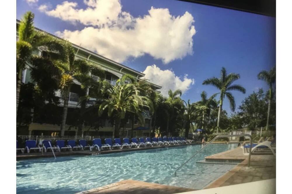 Photo of Outdoor in Weston