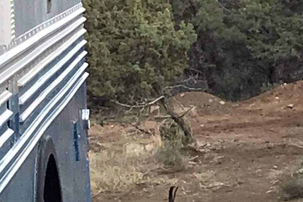 Photo of Others in Durango