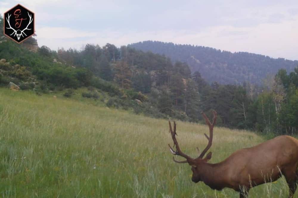 Photo of Outdoor in Park County