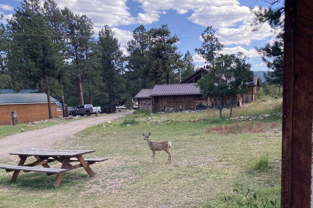 Photo of Outdoor in Weston