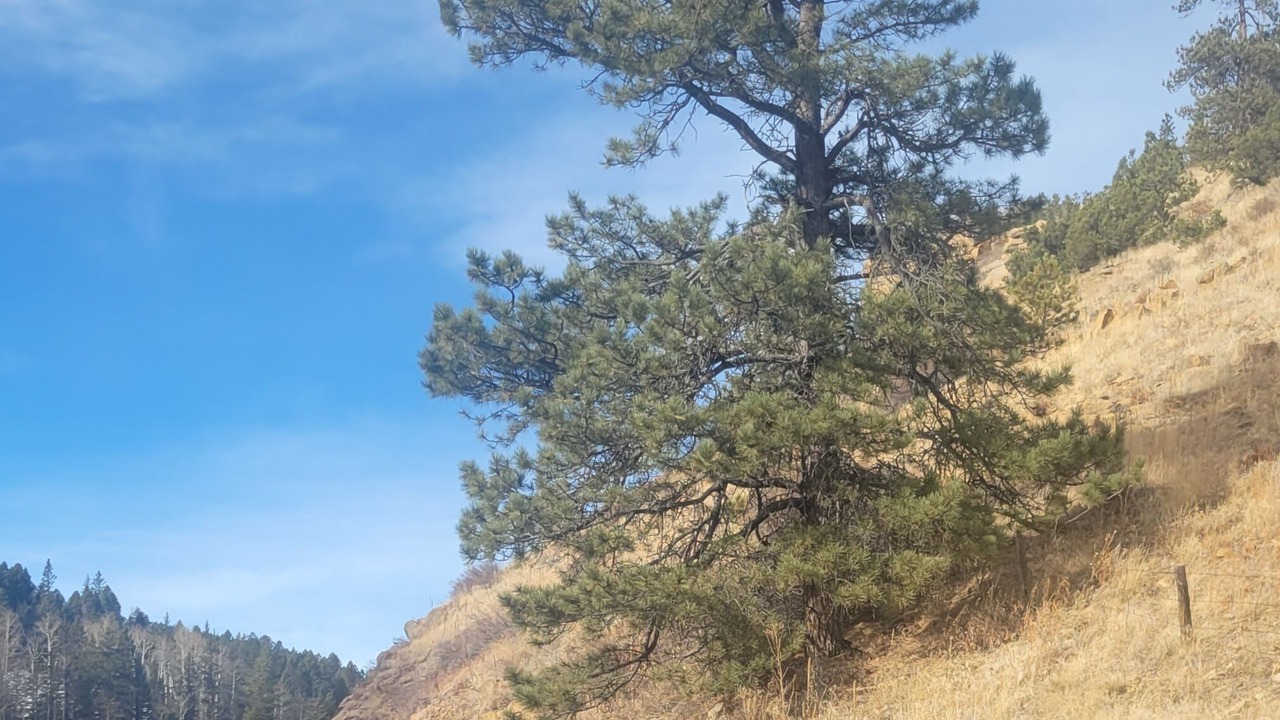 Photo of Others in Silver Cliff