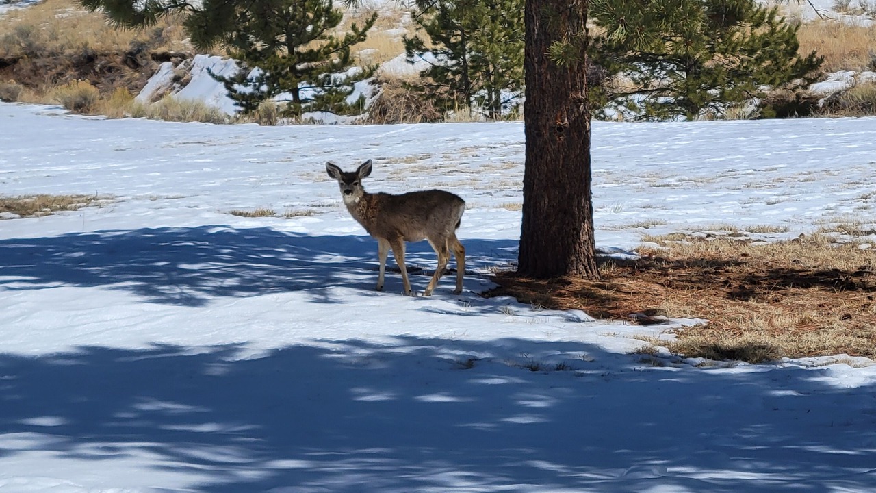 Photo of Others in Silver Cliff