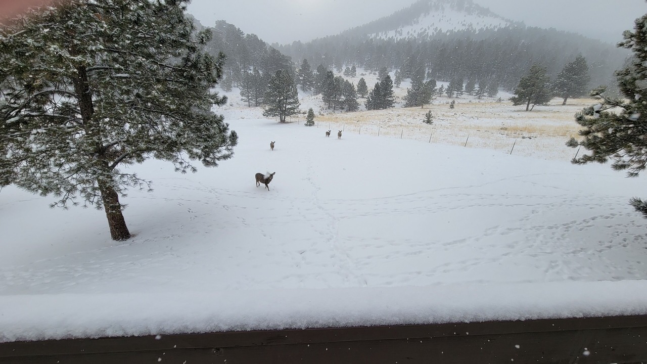 Photo of Outdoor in Silver Cliff