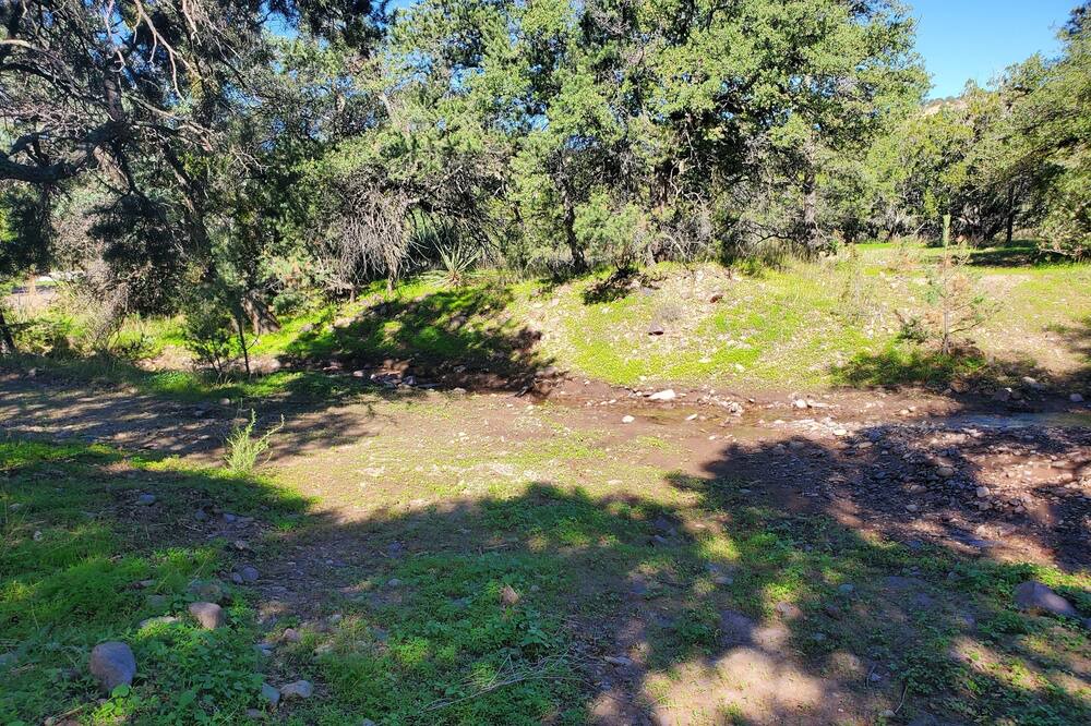 Photo of Outdoor in Magdalena