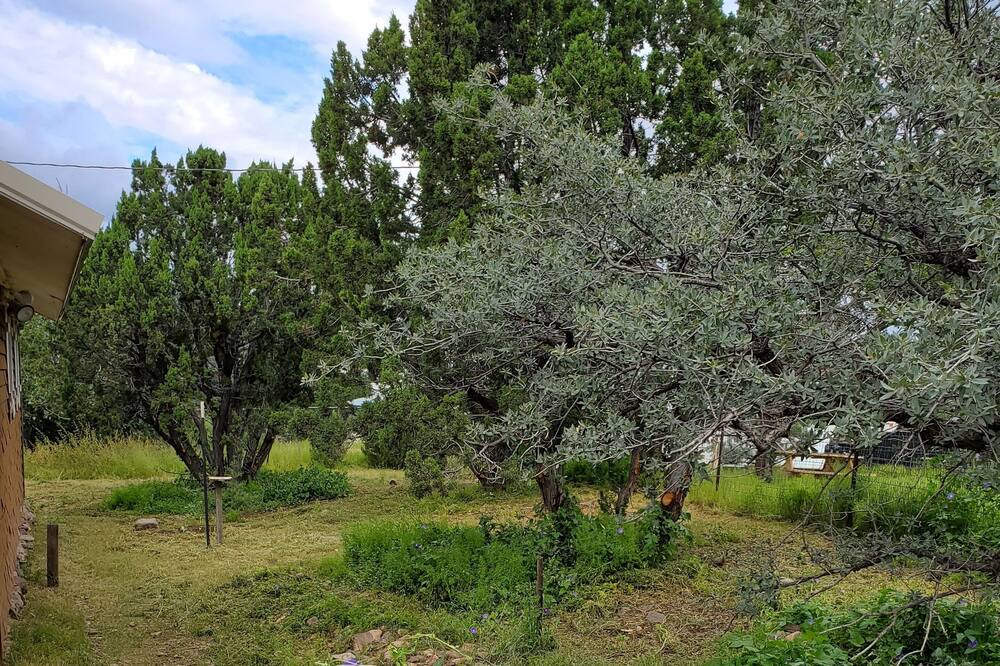 Photo of Outdoor in Magdalena
