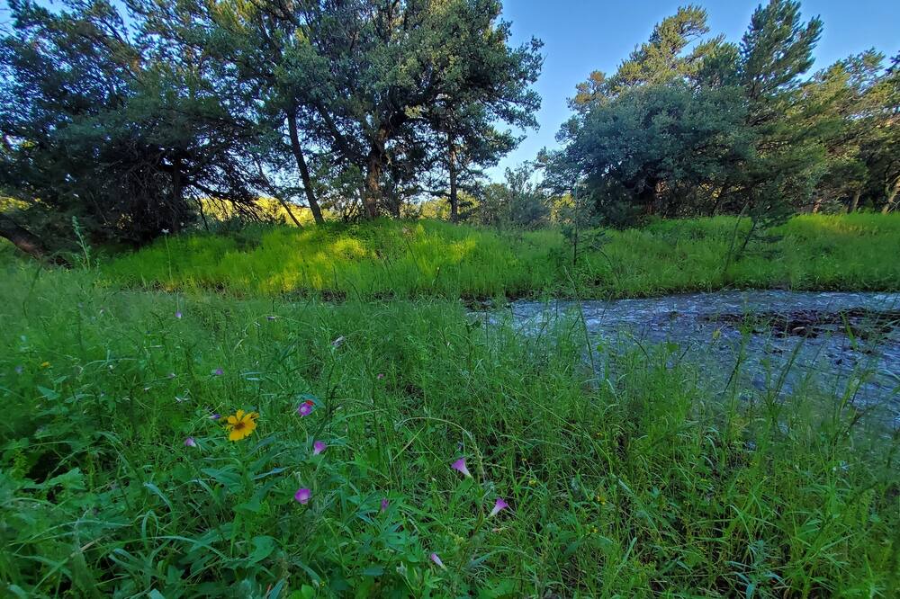 Photo of Outdoor in Magdalena